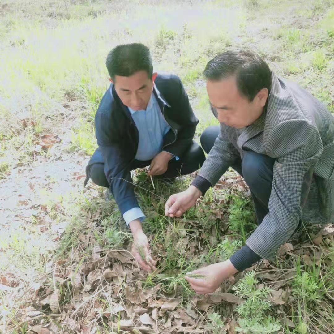 太阳成集团tyc234cc古天乐