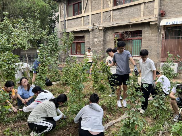 太阳成集团tyc234cc古天乐
