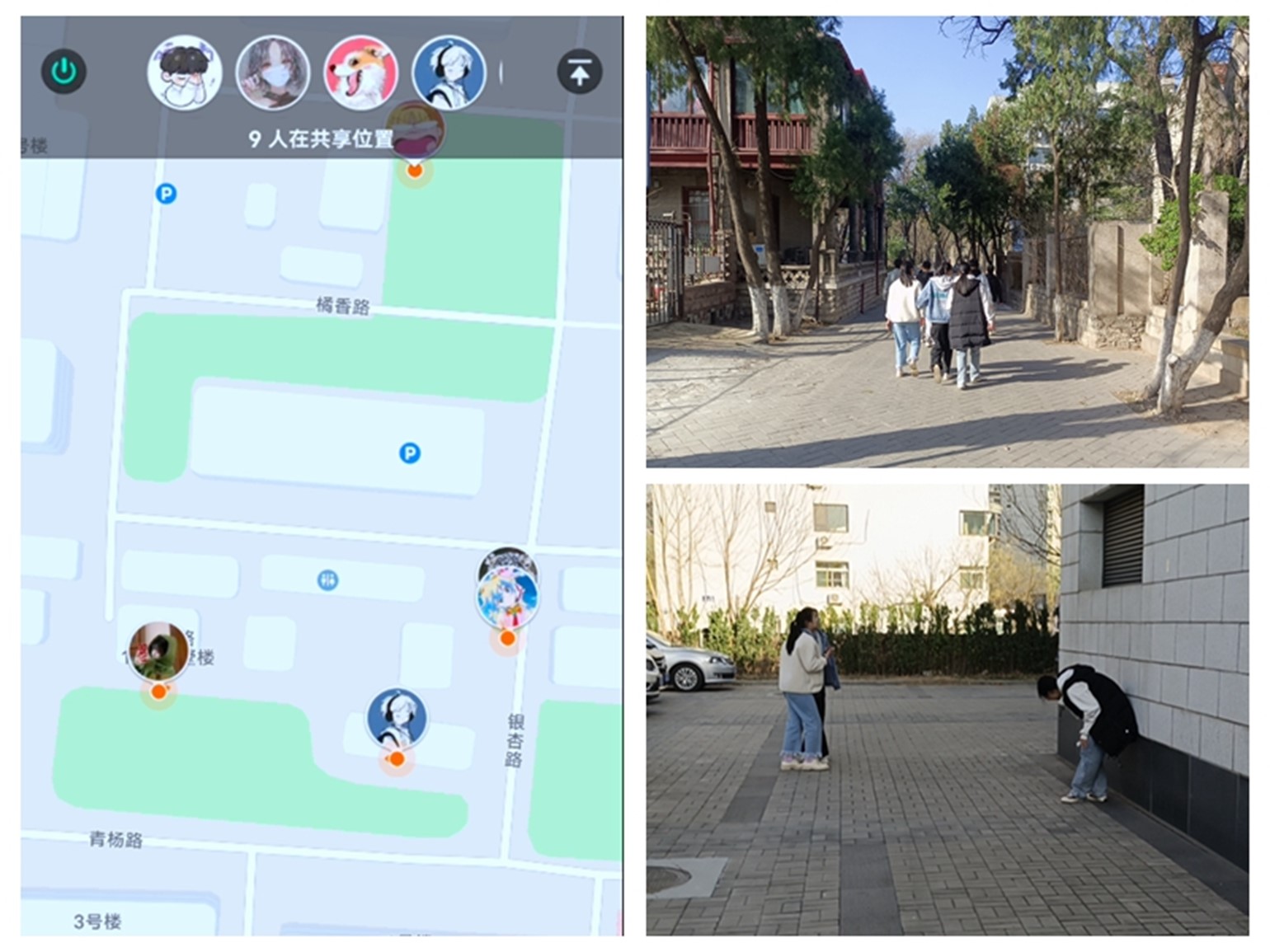 太阳成集团tyc234cc古天乐
