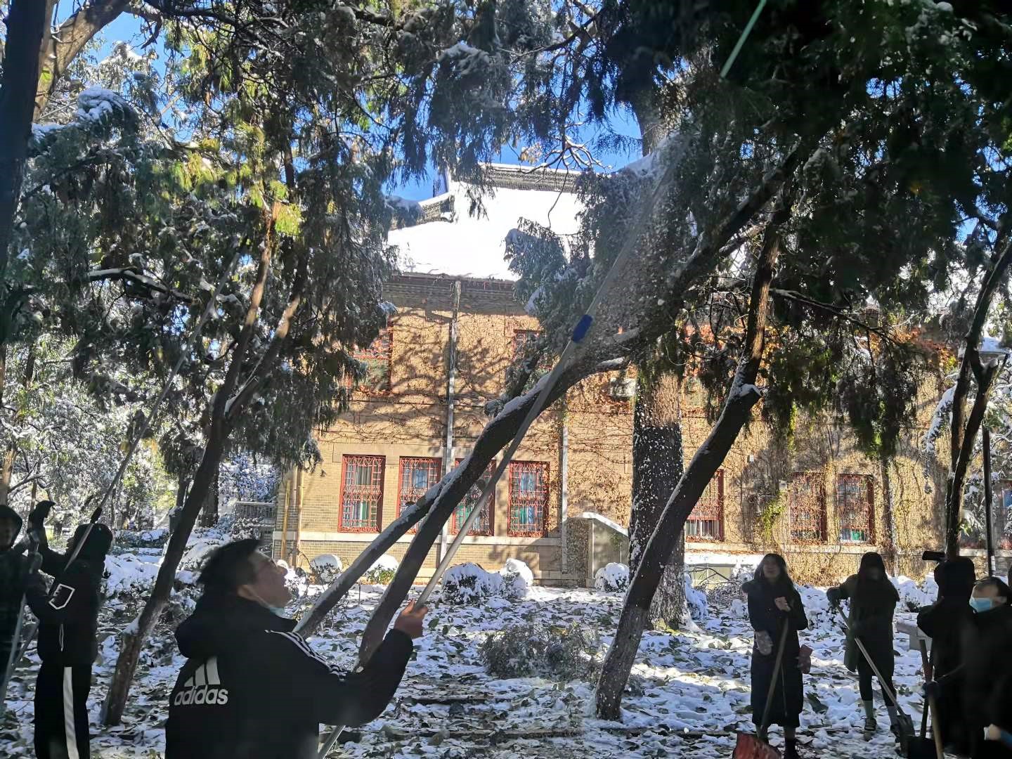 太阳成集团tyc234cc古天乐
