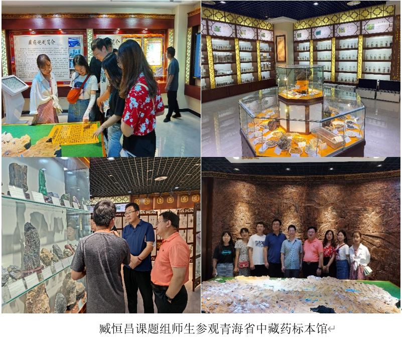 太阳成集团tyc234cc古天乐
