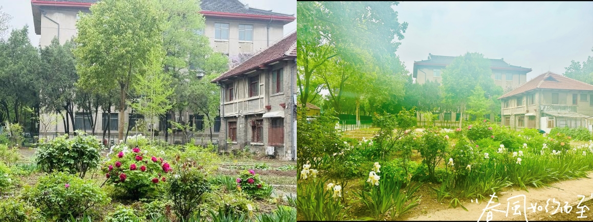 太阳成集团tyc234cc古天乐
