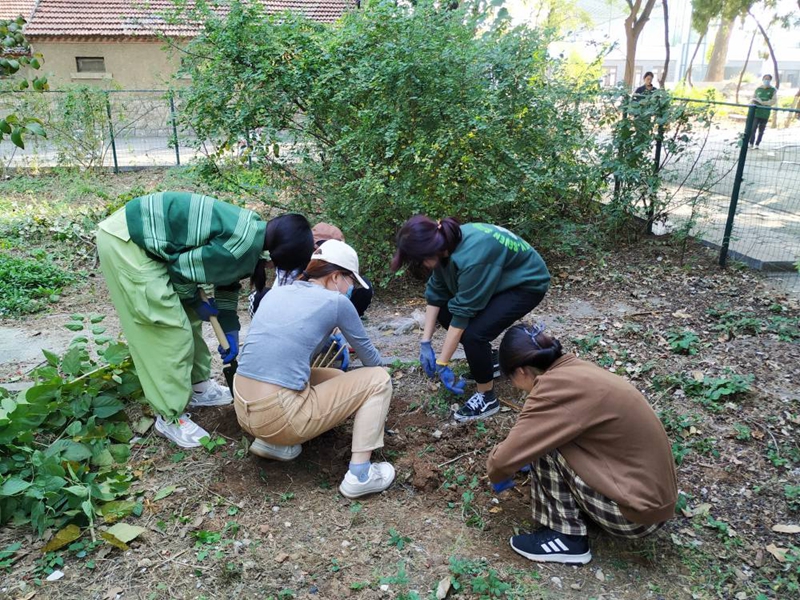 太阳成集团tyc234cc古天乐