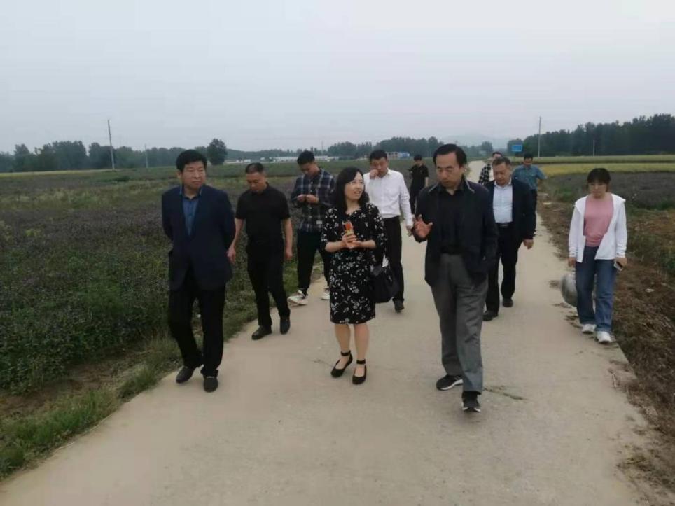 太阳成集团tyc234cc古天乐