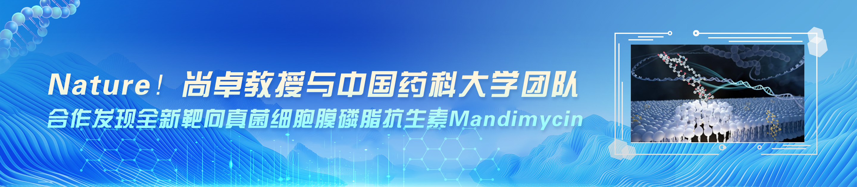 世俱杯官方网站入口