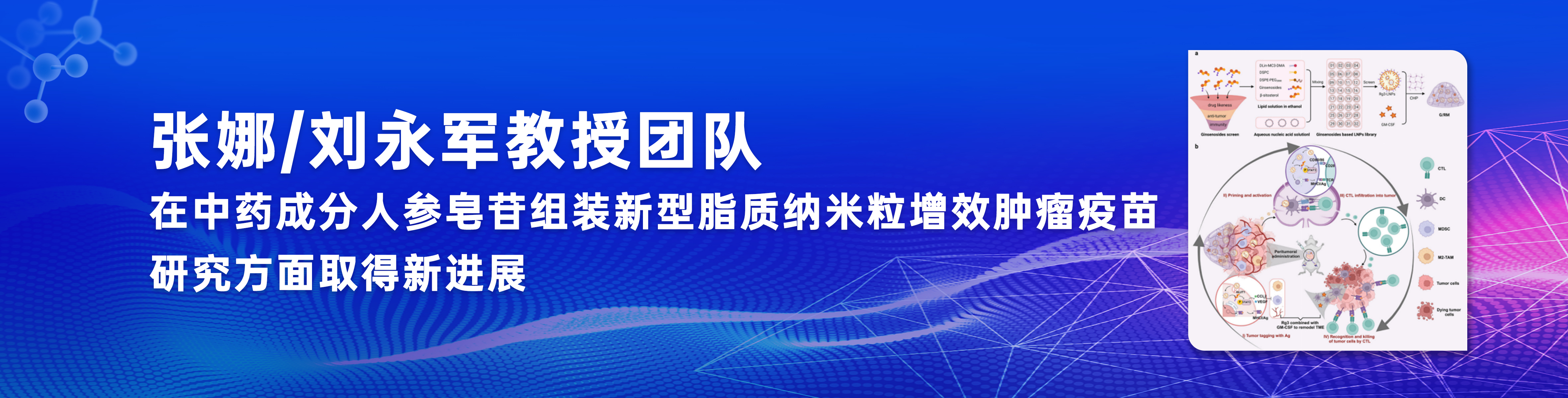 世俱杯官方网站入口