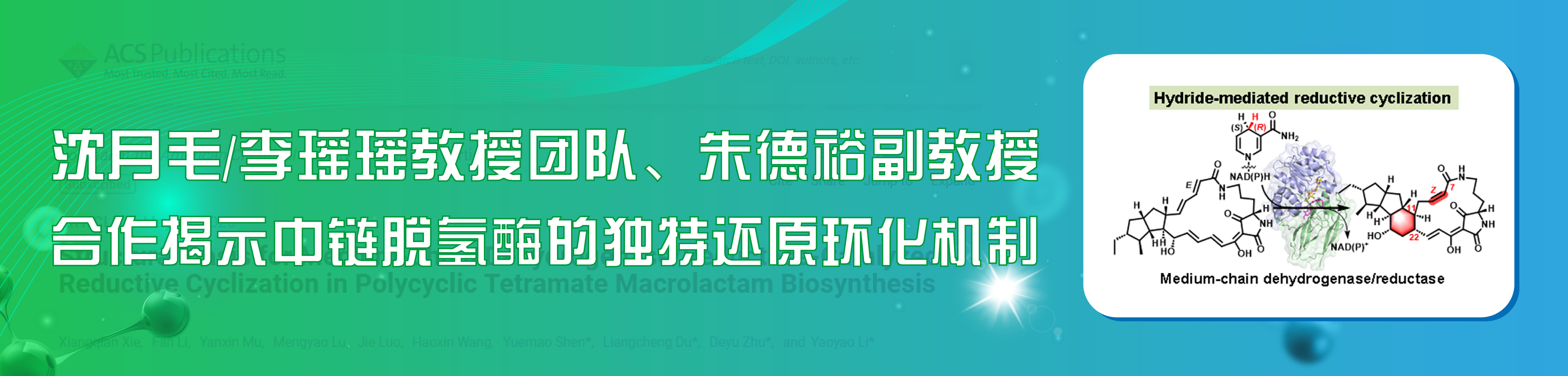 世俱杯官方网站入口